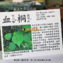 PC塑膠片彩印-花卉解說牌-3